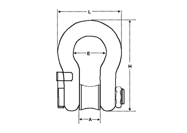 wireless load shackle